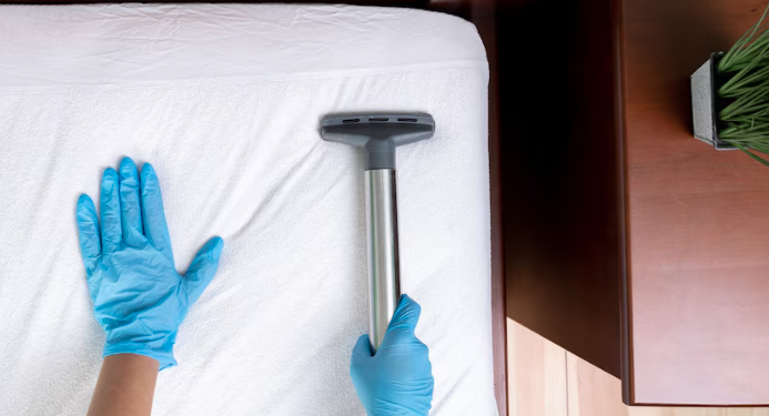 Licensed and insured cleaners in San Luis Obispo